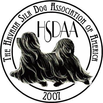 Havana Silk Dog Association of America